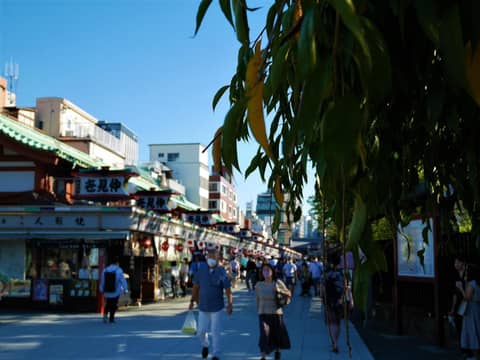 HOTEL TAVINOS Asakusa — photo 8