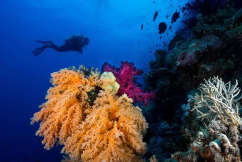 Club Paradisio El Gouna Red Sea — photo 9