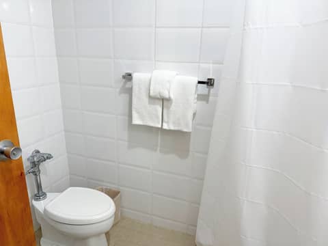 Ficus Hotel — photo 4