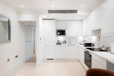 Fountain House Apartments - Hyde Park, London — photo 5