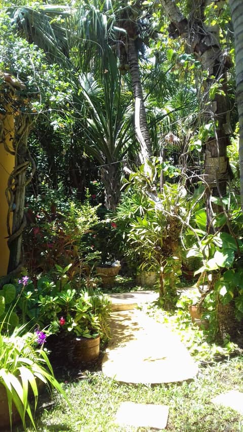 Casa Kin33 — other