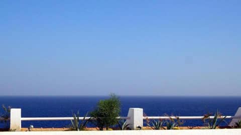 Sheraton Sharm Hotel Resort Villas & Spa — photo 4
