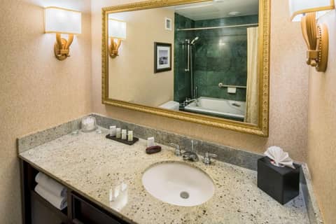 Embassy Suites by Hilton Portland Downtown — photo 2