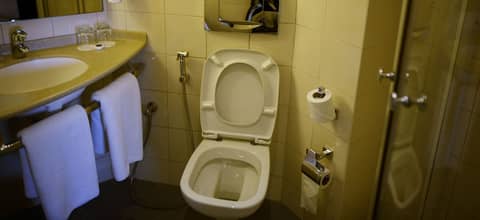 ibis Muscat — photo 2