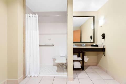 Comfort Suites Tampa Airport North — photo 4