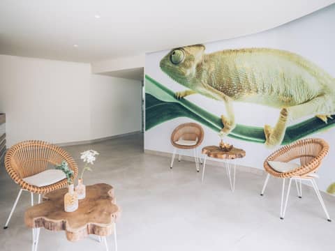 Iberostar Selection Sábila - Adults Only — recepcion & lobby