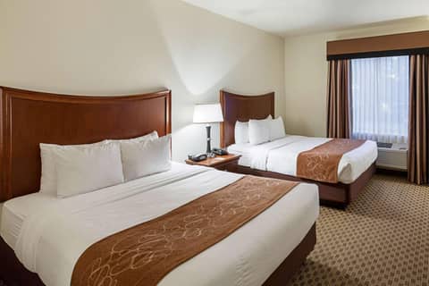 Comfort Suites San Antonio North - Stone Oak — photo 8