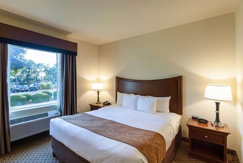 Comfort Suites San Antonio North - Stone Oak — photo 9