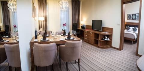 Premier Sofia Airport Hotel — hotel room