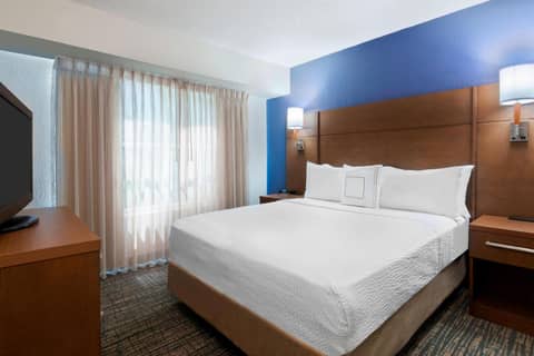 Residence Inn by Marriott Tampa at USF/Medical Center — photo 4
