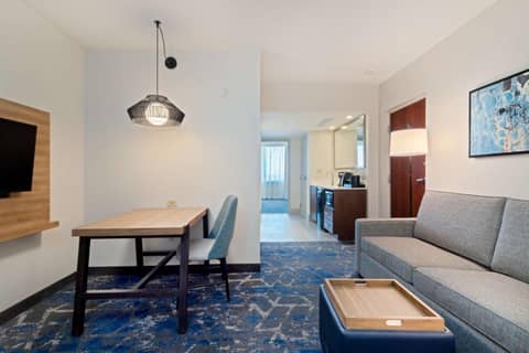 Embassy Suites by Hilton Tampa USF Near Busch Gardens — photo 4