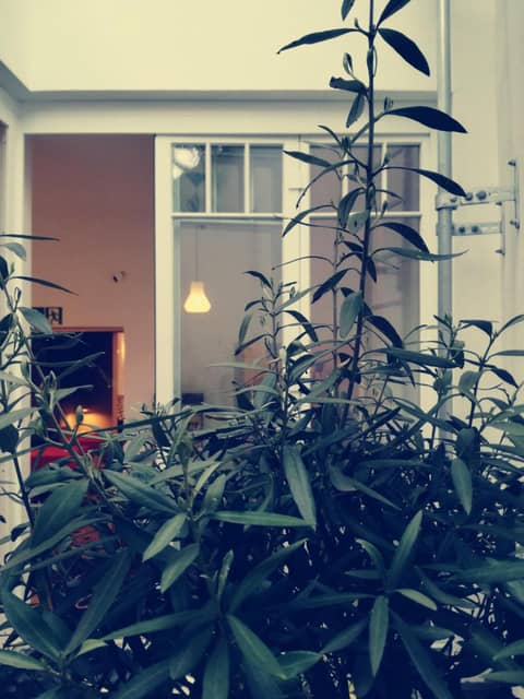 MAISON MARSIL - Boutique Hotel Köln — photo 5