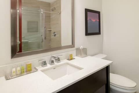 DoubleTree by Hilton Portland Tigard — bathroom