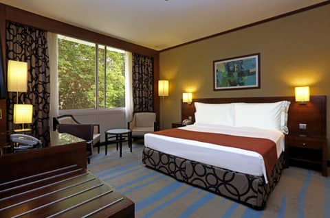 Holiday Inn Riyadh Izdihar by IHG — photo 5