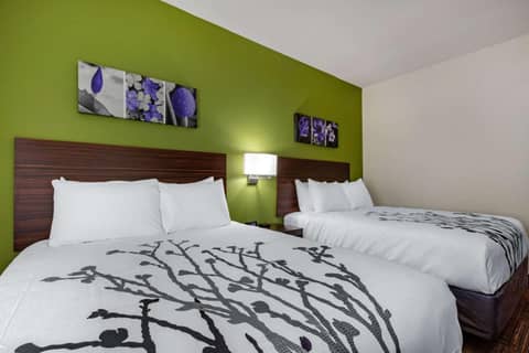 Sleep Inn & Suites Tampa South — photo 5