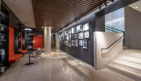 The Morrison Dublin, Curio Collection by Hilton — photo 8