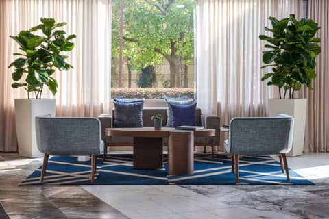 The Chifley Houston, Tapestry Collection by Hilton — photo 4