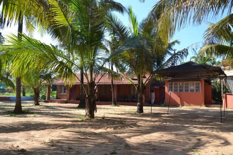 O Camarao — photo 2