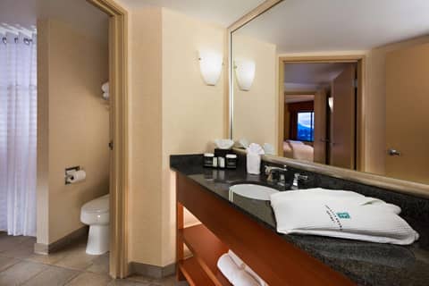 Embassy Suites by Hilton Phoenix Scottsdale — bathroom