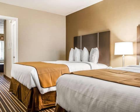 Quality Inn & Suites South Portland — photo 3