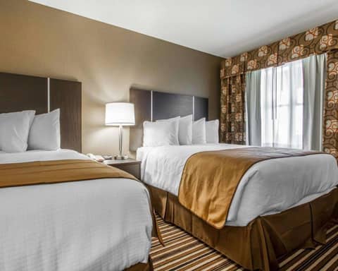 Quality Inn & Suites South Portland — photo 6