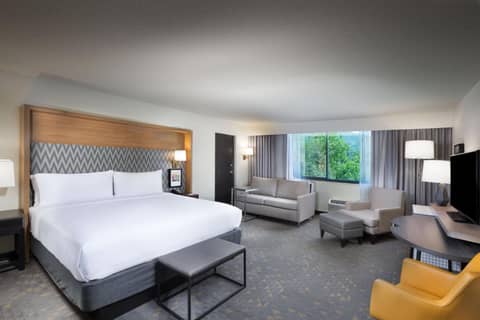 Holiday Inn Asheville East-Blue Ridge Pkwy by IHG — photo 8