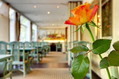 Hotel Senator Hamburg — photo 2