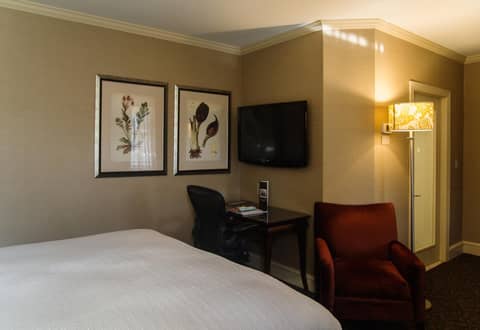 Chestnut Hill Hotel — photo 8