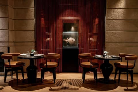 Claris Hotel & Spa GL a Small Luxury Hotel of the World — photo 7
