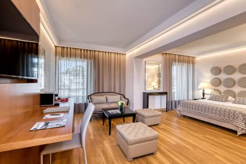 Divani Palace Acropolis — photo 5