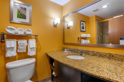 Hampton Inn by Hilton Tampa Fairgrounds Casino — photo 3