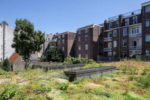 Conscious Hotel Vondelpark — photo 8