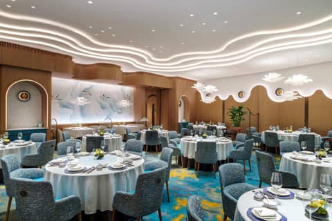 Andaz Macau, By Hyatt — photo 8