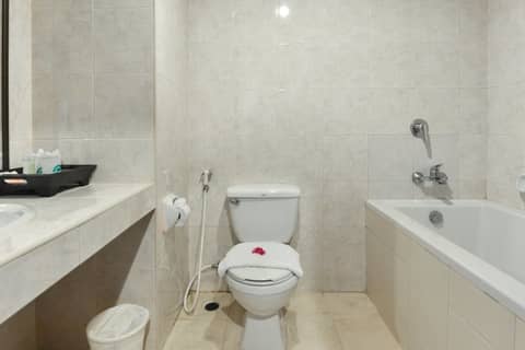 APK Resort — bathroom