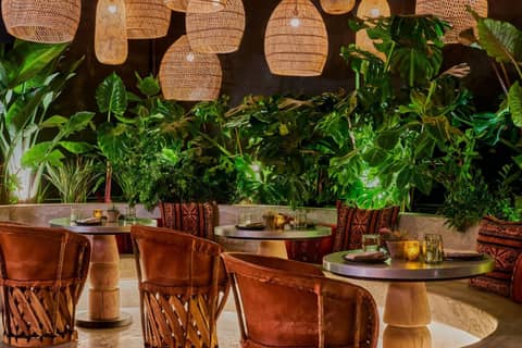 HOLLYWOOD VOLUME, a Tribute Portfolio Hotel — dining