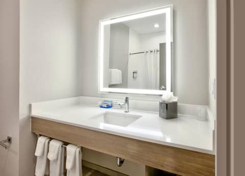 Holiday Inn Express & Suites North Dallas at Preston by IHG — photo 4