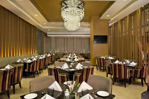 Radisson Blu Jaipur — photo 2