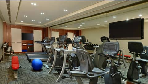 Radisson Blu Jaipur — photo 4