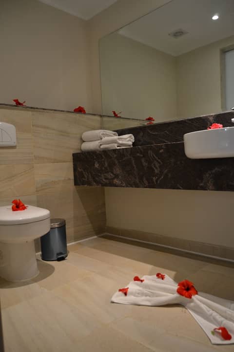 Rivoli Suites — bathroom