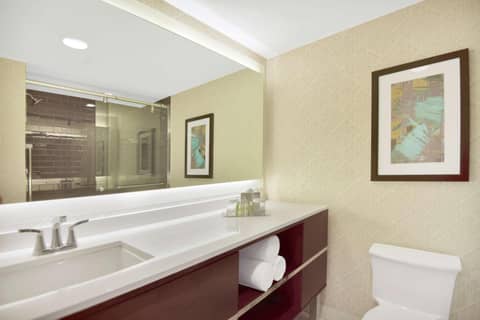 DoubleTree by Hilton Hotel & Suites Houston by the Galleria — photo 2