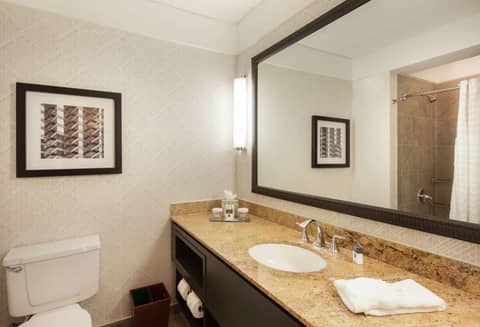 DoubleTree by Hilton Hotel & Suites Houston by the Galleria — photo 3