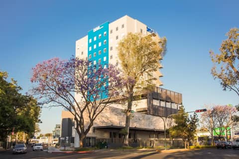 One Guadalajara Expo — photo 3