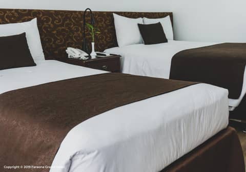 Faraona Grand Hotel — photo 4