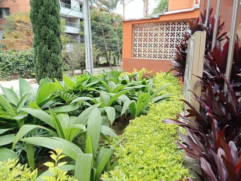 Hotel Lomas 10 Medellin — photo 8