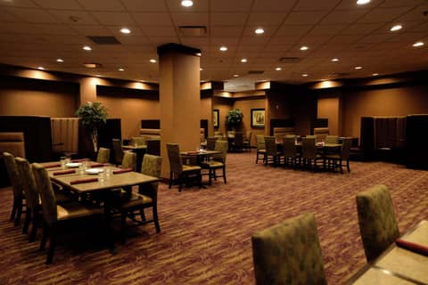 Embassy Suites by Hilton Minneapolis North — photo 3