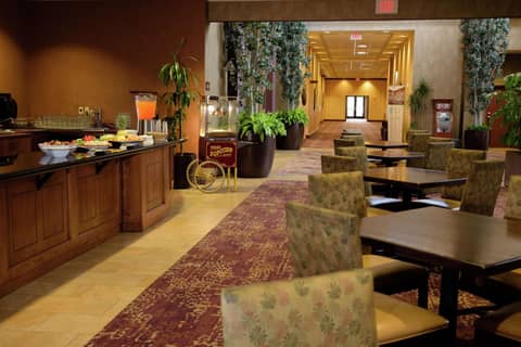 Embassy Suites by Hilton Minneapolis North — photo 7