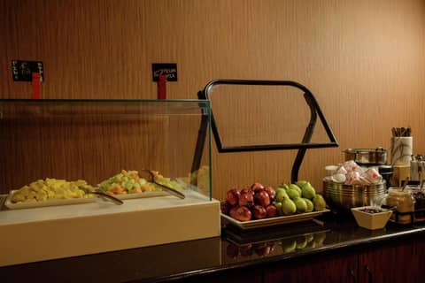 Embassy Suites by Hilton Minneapolis North — photo 9