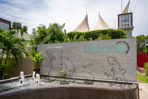 Loligo Resort Hua Hin — photo 4