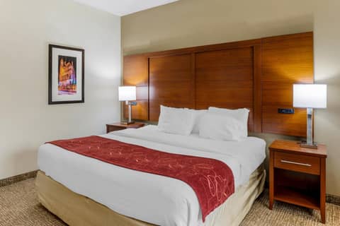 Comfort Suites At Virginia Center Commons — photo 7
