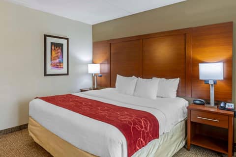 Comfort Suites At Virginia Center Commons — photo 8